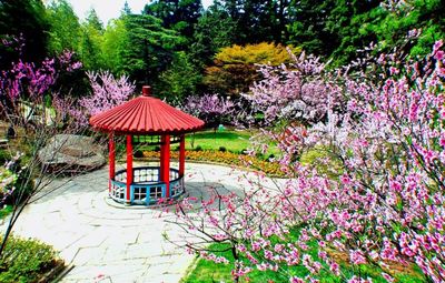 廬山景區今日起恢復開放!疫情期間游覽這些事要清楚!