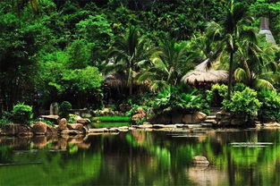 在溫暖保亭遇見那香山，探索大三亞旅游經(jīng)濟(jì)圈的景區(qū)管理之道